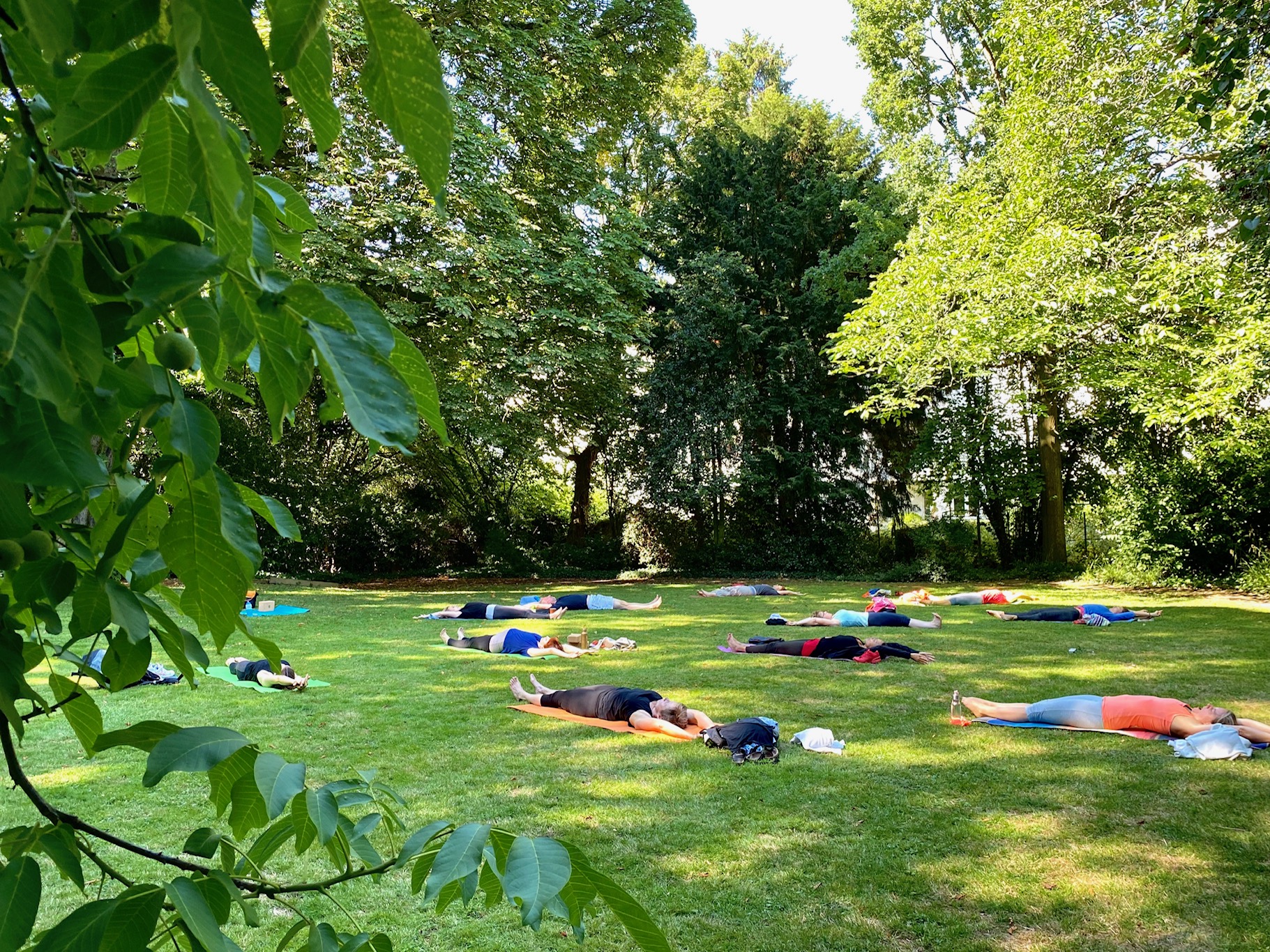 Yoga im Park - Bonn -STUDIO 52